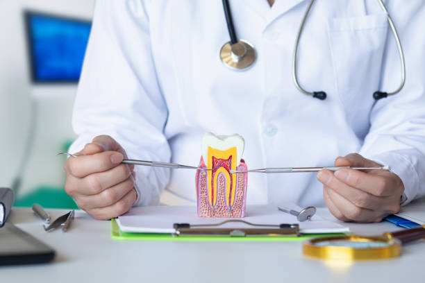 Best Emergency TMJ Treatment in Elk Plain, WA